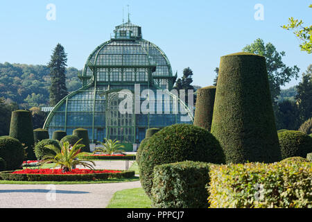 Green House Palmenhaus Schönbrunn in Schönbrunn, Wien, Österreich Stockfoto