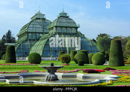 Green House Palmenhaus Schönbrunn in Schönbrunn, Wien, Österreich Stockfoto