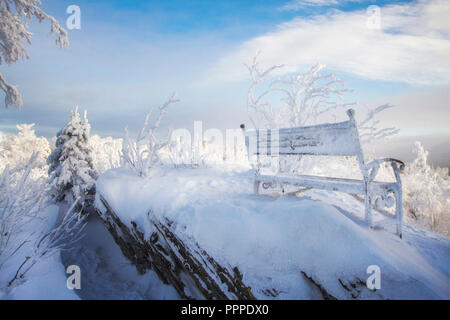 Sitzbank im Schnee unter den Bäumen in den Bergen im Winter. frostigen Januar morgen Stockfoto