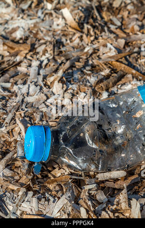 ''Discarded Kunststoff PET Flasche mit blauer Spitze liegen auf einem Bett von trockenen Algen an der Küste verursachen Umwelt verschmutzung aus Kunststoff Stockfoto