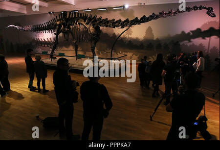 Mitglieder der Medien mit Dippy, das Natural History Museum von Diplodocus Skelett geworfen, während eines Media Vorschau in der Ulster Museum, Belfast, vor der er Öffnung für die Öffentlichkeit am Freitag als Teil der UK-Tour. Stockfoto