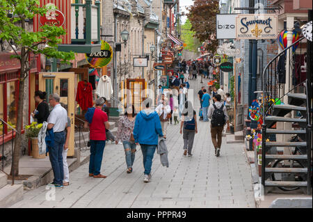 Masse der Touristen flanieren auf der Rue du Petit Champlain - ein berühmter Einkaufsstraße im historischen Viertel der Stadt, in der Altstadt von Quebec, Quebec City Stockfoto