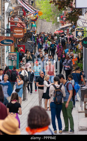 Masse der Touristen flanieren auf der Rue du Petit Champlain - ein berühmter Einkaufsstraße im historischen Viertel der Stadt, in der Altstadt von Quebec, Quebec City Stockfoto