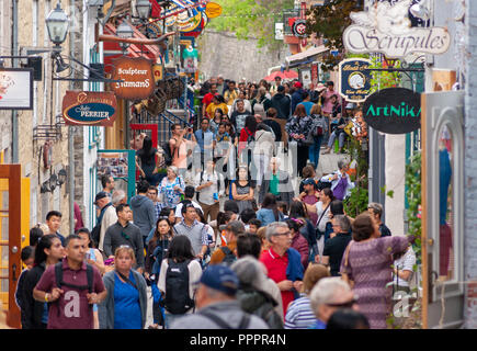 Masse der Touristen flanieren auf der Rue du Petit Champlain - ein berühmter Einkaufsstraße im historischen Viertel der Stadt, in der Altstadt von Quebec, Quebec City Stockfoto