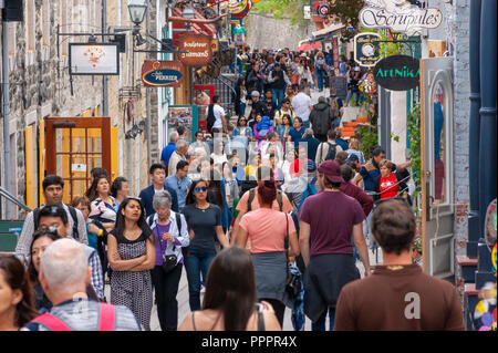 Masse der Touristen flanieren auf der Rue du Petit Champlain - ein berühmter Einkaufsstraße im historischen Viertel der Stadt, in der Altstadt von Quebec, Quebec City Stockfoto