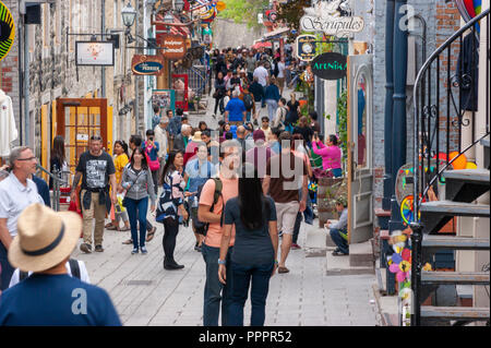 Masse der Touristen flanieren auf der Rue du Petit Champlain - ein berühmter Einkaufsstraße im historischen Viertel der Stadt, in der Altstadt von Quebec, Quebec City Stockfoto