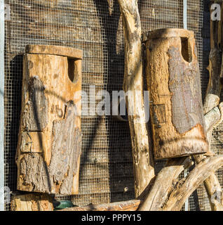 Grosse Hand gestaltete leere Holz Vogelhäuser aus einem Baumstamm und Holz an der Wand hängen Stockfoto