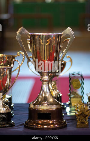 Silber Trophäen auf einem Tisch mit unbeschriftet Plakette Stockfoto