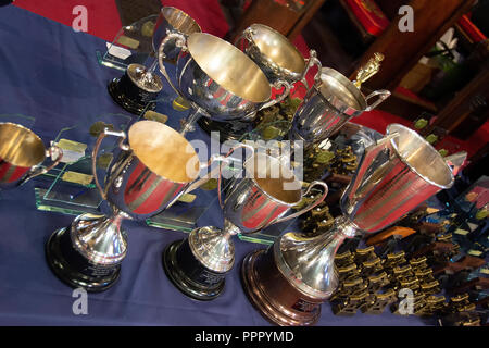 Silber Trophäen auf einem Tisch Stockfoto