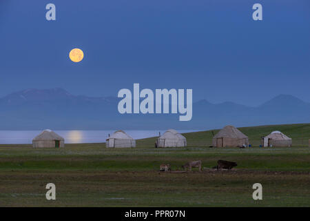 Mond über Song Kol See und Nomaden, Jurten, Naryn Provinz, Kirgisistan, Zentralasien Stockfoto