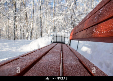 Leere Holzbänken im Winter Park. Perspektive geschossen Stockfoto