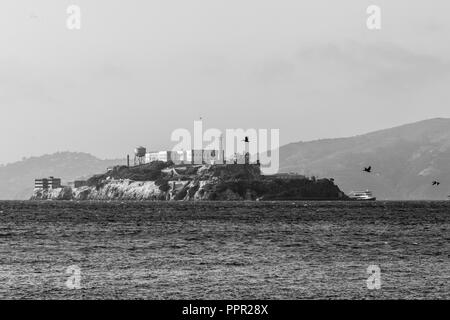 San Francisco liegt an der Westküste der USA im Bundesstaat Kalifornien Stockfoto