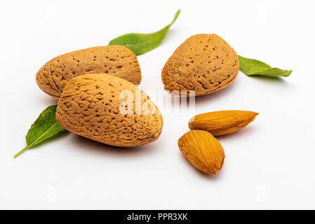 Rohe Mandeln, geschält, mit Schale, Haut (almendrucos) und Mandel Blätter. Auf weissem Hintergrund. Stockfoto