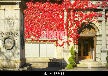 Red Ivy (oberhalb der Gedenkstätte Benennen von Einheimischen in den ersten Weltkrieg) an der Wand von Alfred Osten Galerie des Rates in Kettering, England Stockfoto