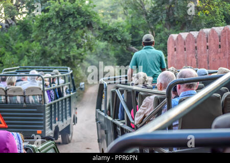 RANTHAMBORE Nationalpark, INDIEN - 15. April: Touristische Gruppe Menschen auf Safari Jeep Kreuzung Straße weg im Gefahrenbereich von Wald. Es ist geschützter Wald Stockfoto