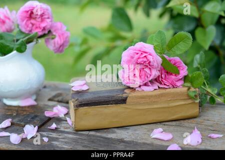 Noch immer leben mit einem Blumenstrauß aus Rosen und ein Buch Stockfoto