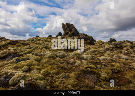 Ein bewölkter Himmel und die alten Lavafeld, mit Moos in der Nähe von Vik, Island, von der berühmten Ringstraße gesehen, die gut von Touristen gereist ist, bedeckt. Stockfoto