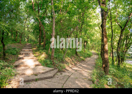 Persönliche Perspektive zu Fuß auf den Weg in den Wald. Stockfoto