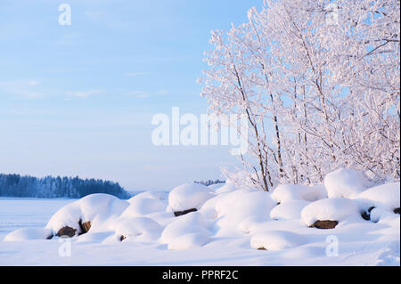Winter Blick auf See. Neu Schnee, Steine und Bäume gefallen. Stockfoto