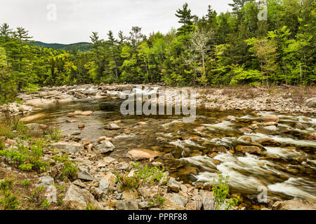 Untere fällt auf die Swift Fluss im Frühjahr, White Mountain National Forest. Carroll Co, NH Stockfoto