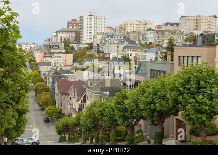 Blick auf die Straße von San Francisco Häuser von Pacific Heights, mit dem London Platanen entlang der Straße gepflanzt, California, United States. Stockfoto