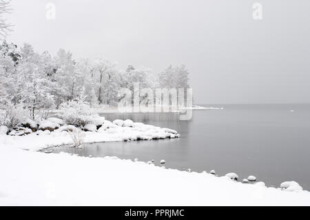 Winterlandschaft. Mit fallenden Schnee. Neu Schnee, Seeufer und Bäume gefallen. Stockfoto