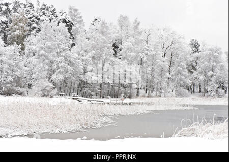 Winterlandschaft. Mit fallenden Schnee. Neu Schnee, Seeufer und Bäume gefallen. Stockfoto