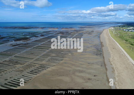 Blainville-sur-Mer (Normandie, Frankreich): Luftaufnahme der Austernbänke. Stockfoto