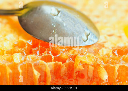 Organische Waben mit metalllöffel Close-up. Natürliche Inhaltsstoffe, Bienenprodukte für Lebensmittel Konzept Stockfoto