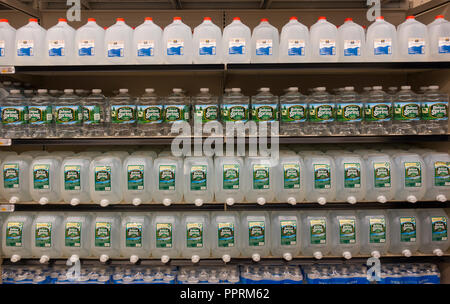 Whole Foods 365 Markt Brooklyn NY Stockfoto