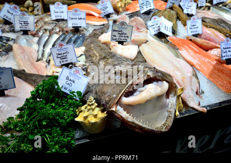 Ganze Seeteufel (Mund) auf einem frischen Fisch im Borough Market Stall. London, England, UK. Stockfoto