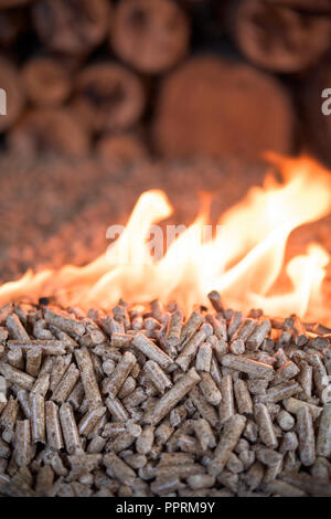 Stapel der Eiche Holz- pellets im Feuer - Heizung Stockfoto