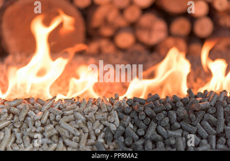 Zwei Arten von Holz- pellets im Feuer - Heizung Stockfoto