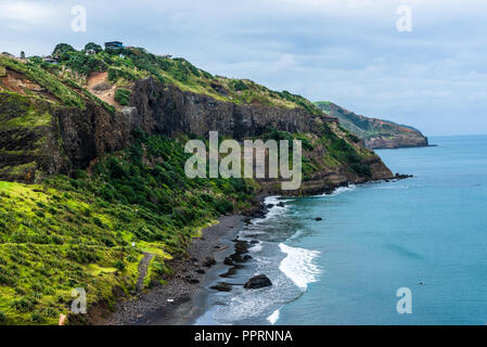 Die aqua Wasser der Tasmanischen See Runde gegen schwarzen Sand und üppigem Laub am Muriwai Beach. Stockfoto