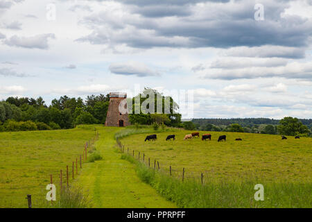 Abgebrochene Stein Windmühle und grasenden Kühen auf dem grünen Rasen. Stockfoto