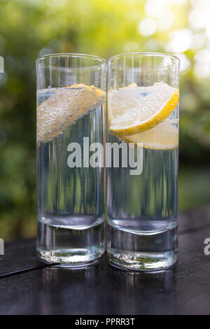 Sekt Gin Tonic in Long Drink Gläser im Garten an einem schönen Sommertag. Stockfoto
