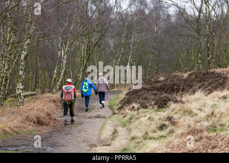 Wanderer im Winter zu Fuß durch die Wälder am Rande Froggatt, Derbyshire, Peak District, England, Großbritannien Stockfoto