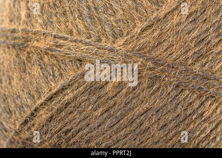 Natürliche geteert Sisalböden garten Garn-/String. Super Makro der einzelnen Fasern, die in das Garn. Metapher' Wie lange ist ein Stück Schnur?" Stockfoto