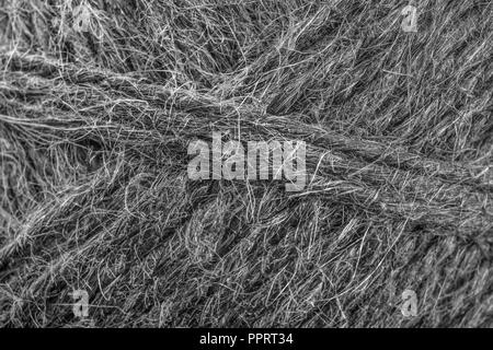 Natürliche geteert Sisalböden garten Garn-/String. Super Makro der einzelnen Fasern, die in das Garn. Grunge B&W Konvertierung von PPRT2N. Stockfoto