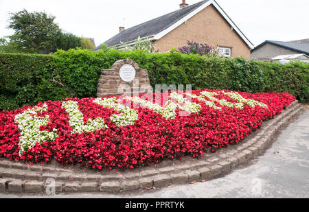 Rote und weiße Begonia semperflorens in Blumenbeet buchstabieren Sie den Namen des Dorfes Elswick. Gewinner des Lancashire beste gehaltene Dorf. mittlere Klasse 2010. Stockfoto