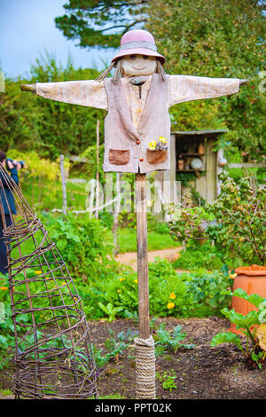 Vogelscheuche unermüdlich steht bewachen das Feld an einem bewölkten Tag. Stockfoto