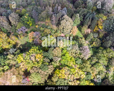 Antenne top Blick auf die Bäume mit verschiedenen Herbstfarben Blätter. sonnigen Tag im City Park Stockfoto