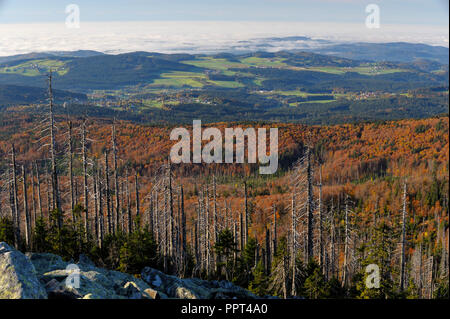 Gipfel des Lusen, Oktober, Lusen, Nationalpark Bayerischer Wald, Deutschland Stockfoto