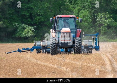 Keine bis Mais anpflanzen auf einem Bauernhof in der Nähe von Newburg, Maryland Stockfoto