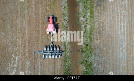 Keine bis Mais anpflanzen auf einem Bauernhof in der Nähe von Newburg, Maryland Stockfoto