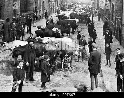 Viehmarkt Scott Street, Keighley Anfang der 1900er Jahre Stockfoto