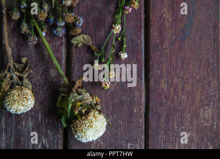 Getrocknete Feld Blume. Schließen oben mit kopieren. Stockfoto