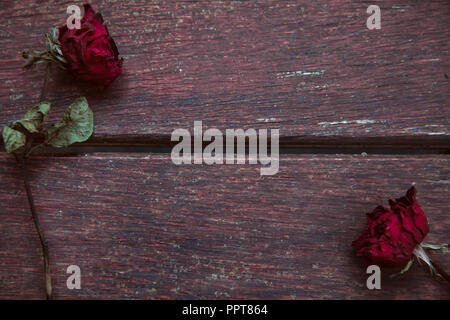 Getrocknete rote Rose auf Holz- Hintergrund, traurig valentine Stockfoto