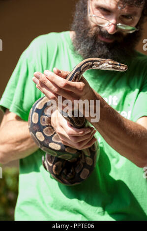 Florenz, Italien - 2018, 22. September: Mann hält eine Python in der Hand, bei "Folgen Sie Ihrem Haustier" Expo 2018. Stockfoto