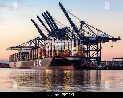 Großbritannien Handels - Container schiffe Verladen und Entladen im Hafen von Felixstowe, größten Containerhafen in Großbritannien. Stockfoto